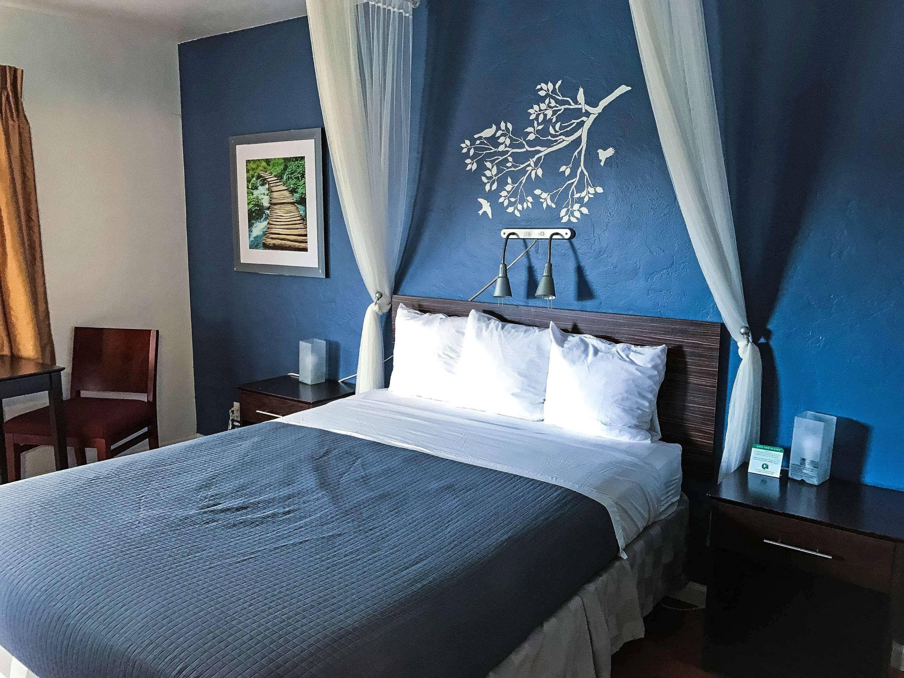 Golden Bear Hotel - Surestay Collection By Best Western Berkeley Ngoại thất bức ảnh